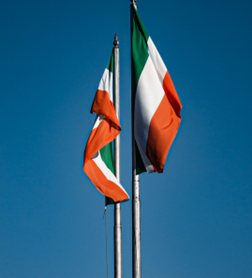 company logo